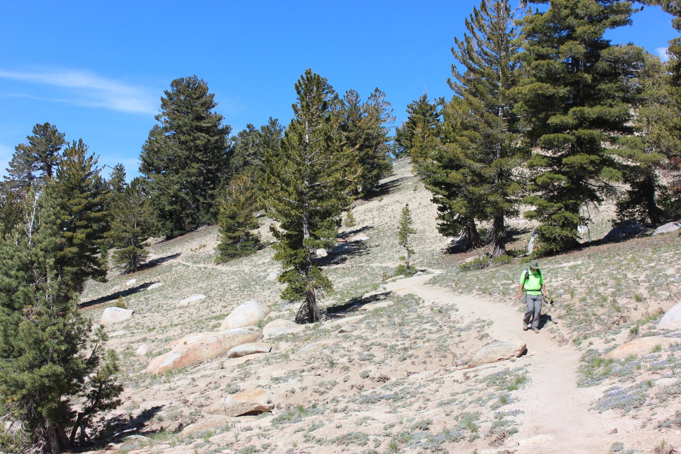 Sandy trail