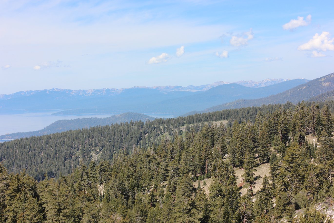 West view