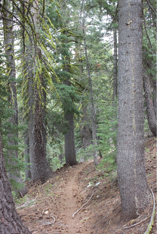 Backside trail