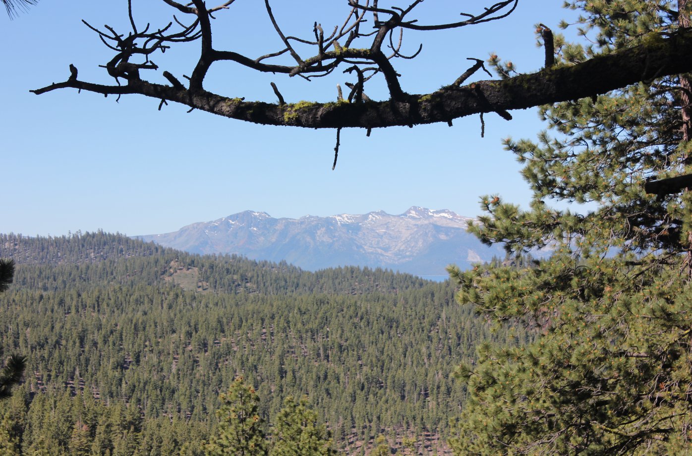 A first view