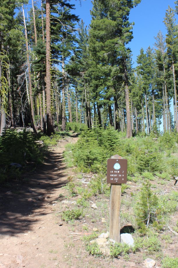 Trail markers