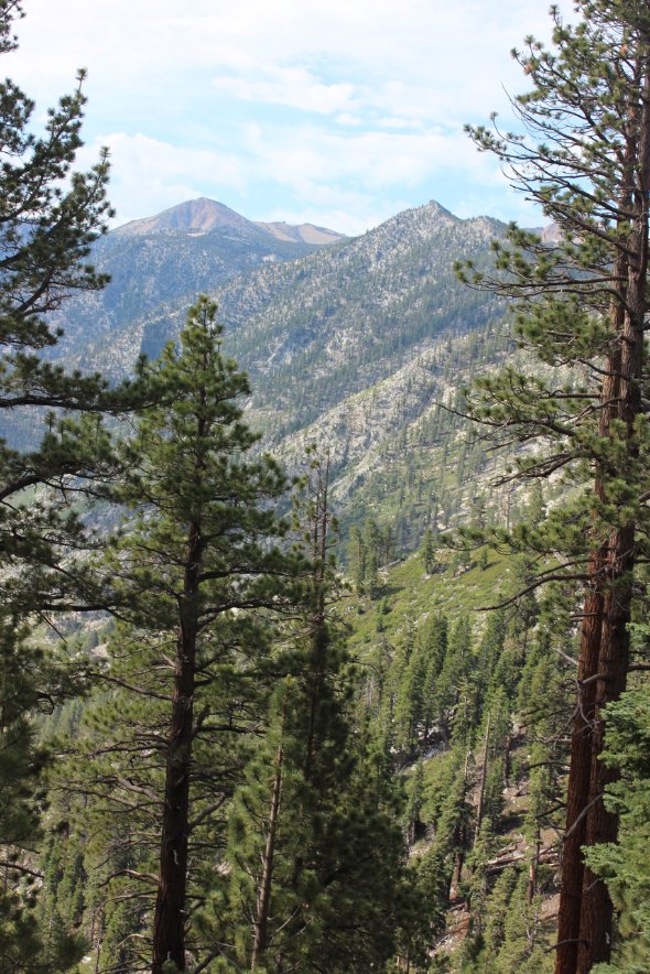 Monument Peak