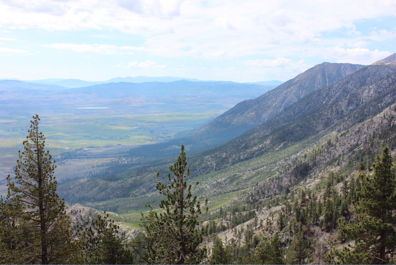Great vistas