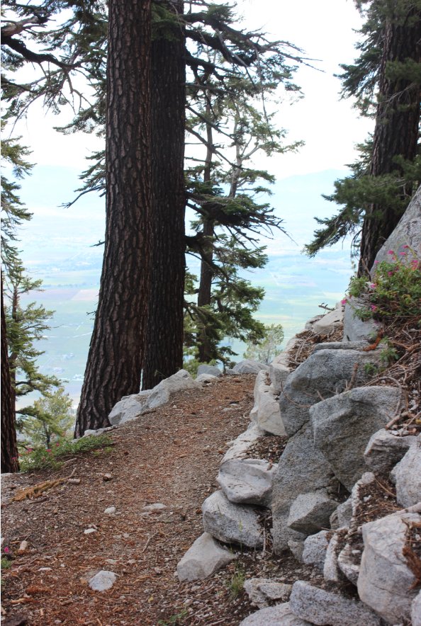 View section