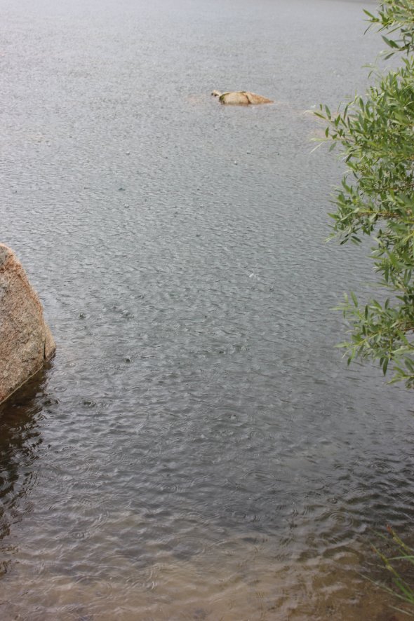 Star Lake