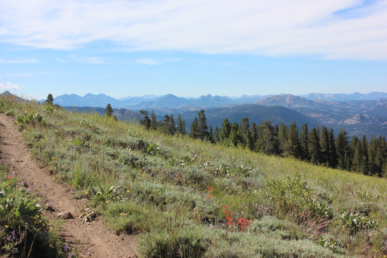 Expansive view