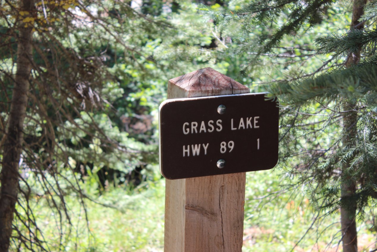 Another sign