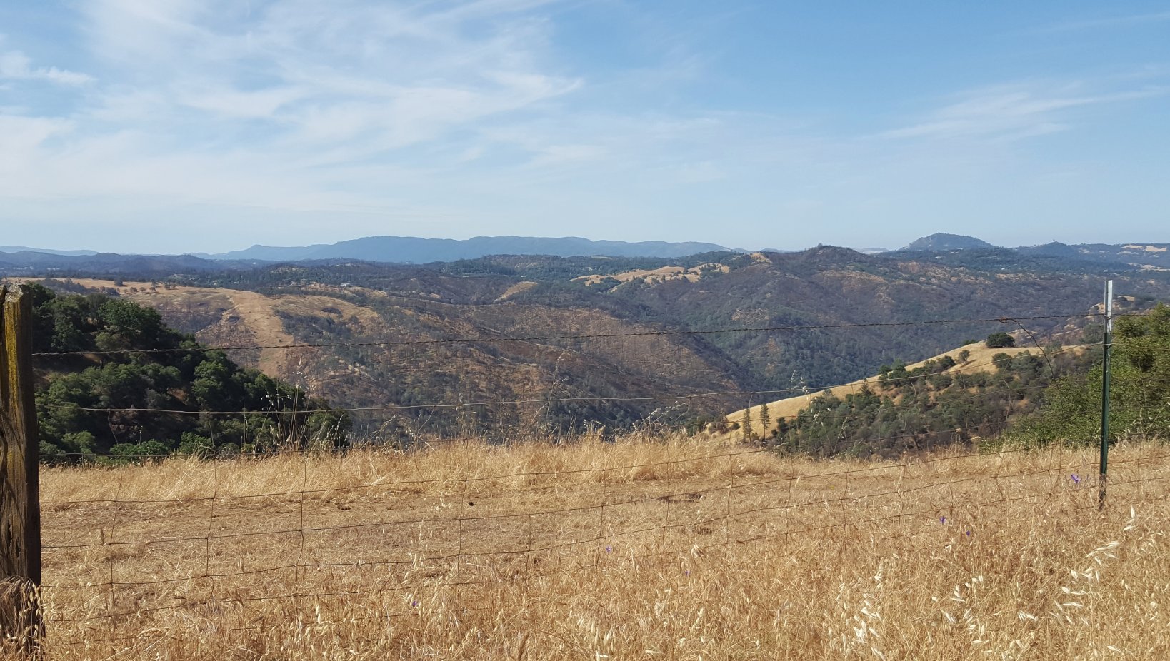 View along drive