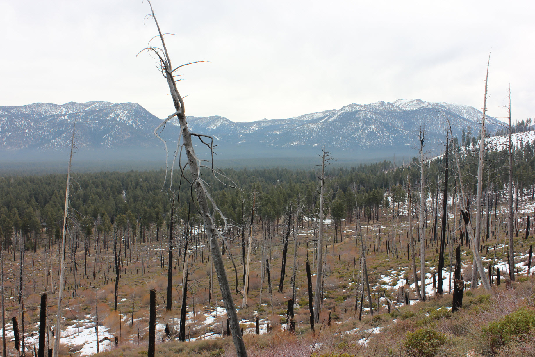 Passing through old fire