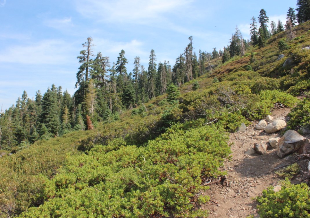 Heading up the trail
