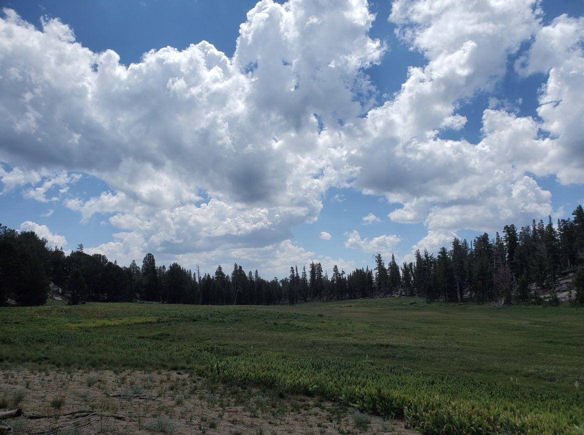 Freel Meadow