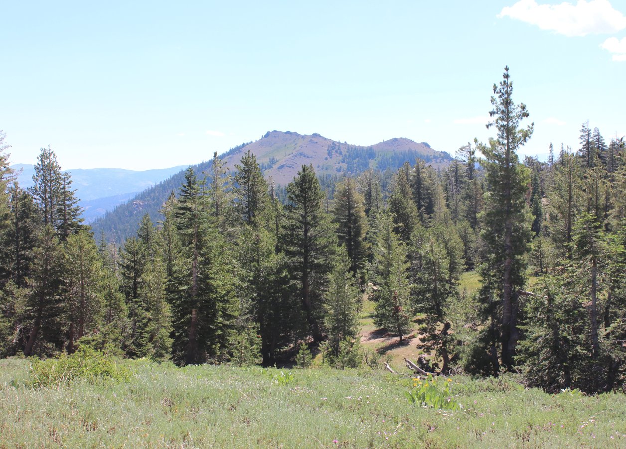 Thornburg Peak