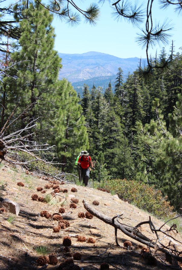 On the trail