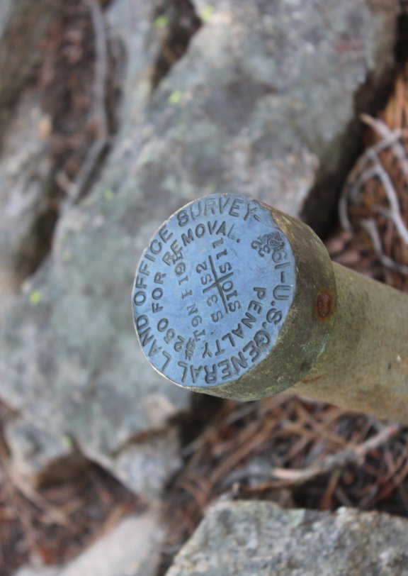 Benchmark