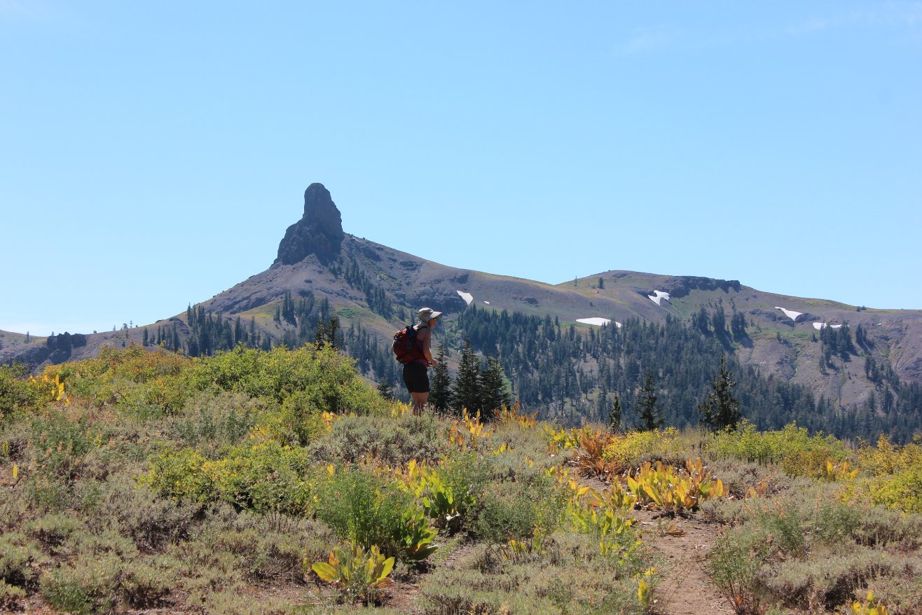 Jeff Davis Peak