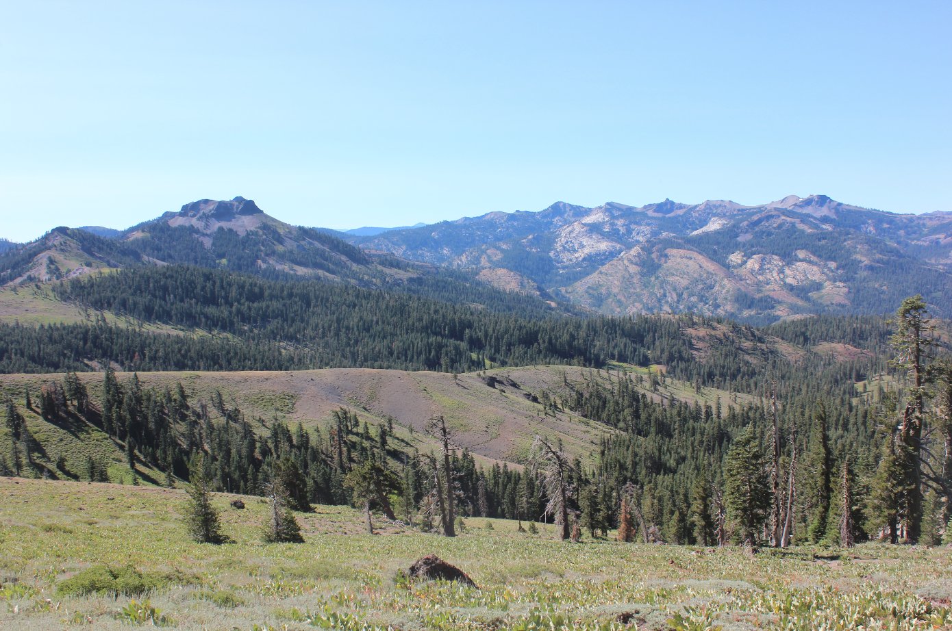 Mt. Lincoln view