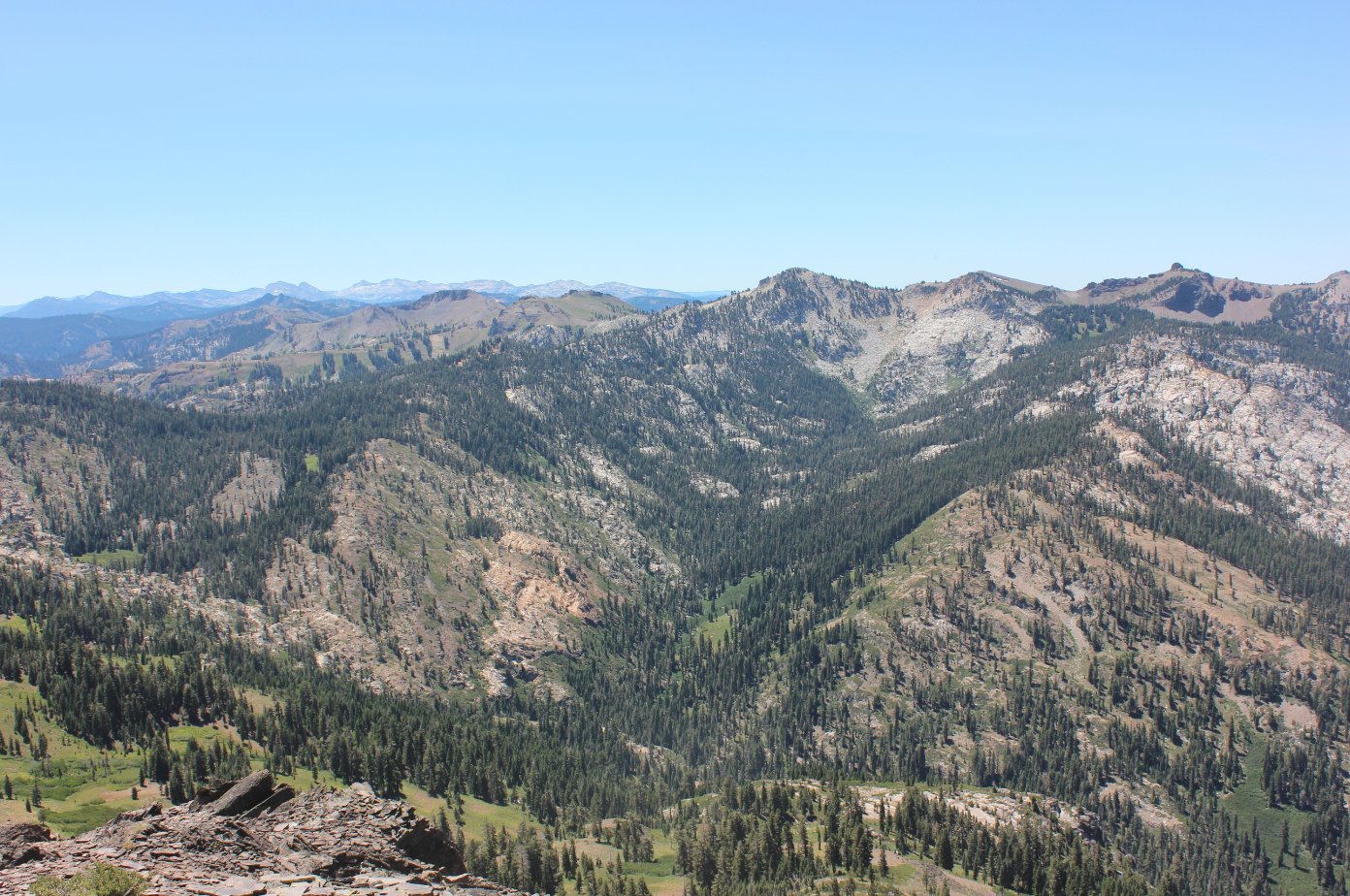 Tinker Knob view
