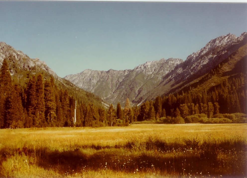 Sawtooth Ridge from Morris Meadows
