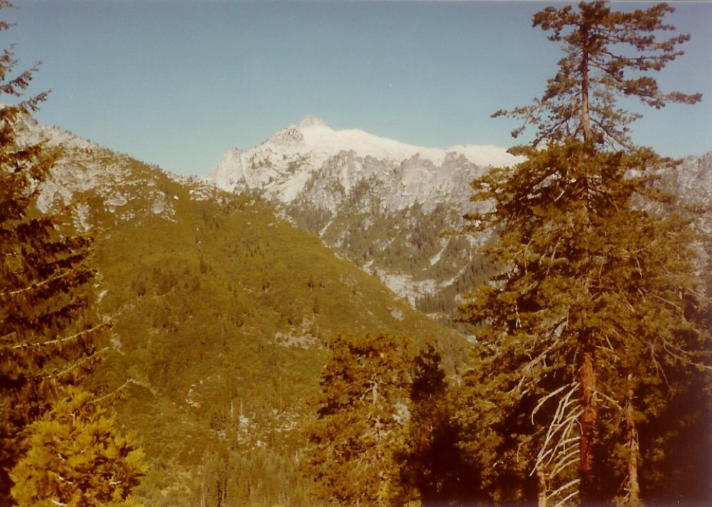 Looking at 7 Up Peak from the trail