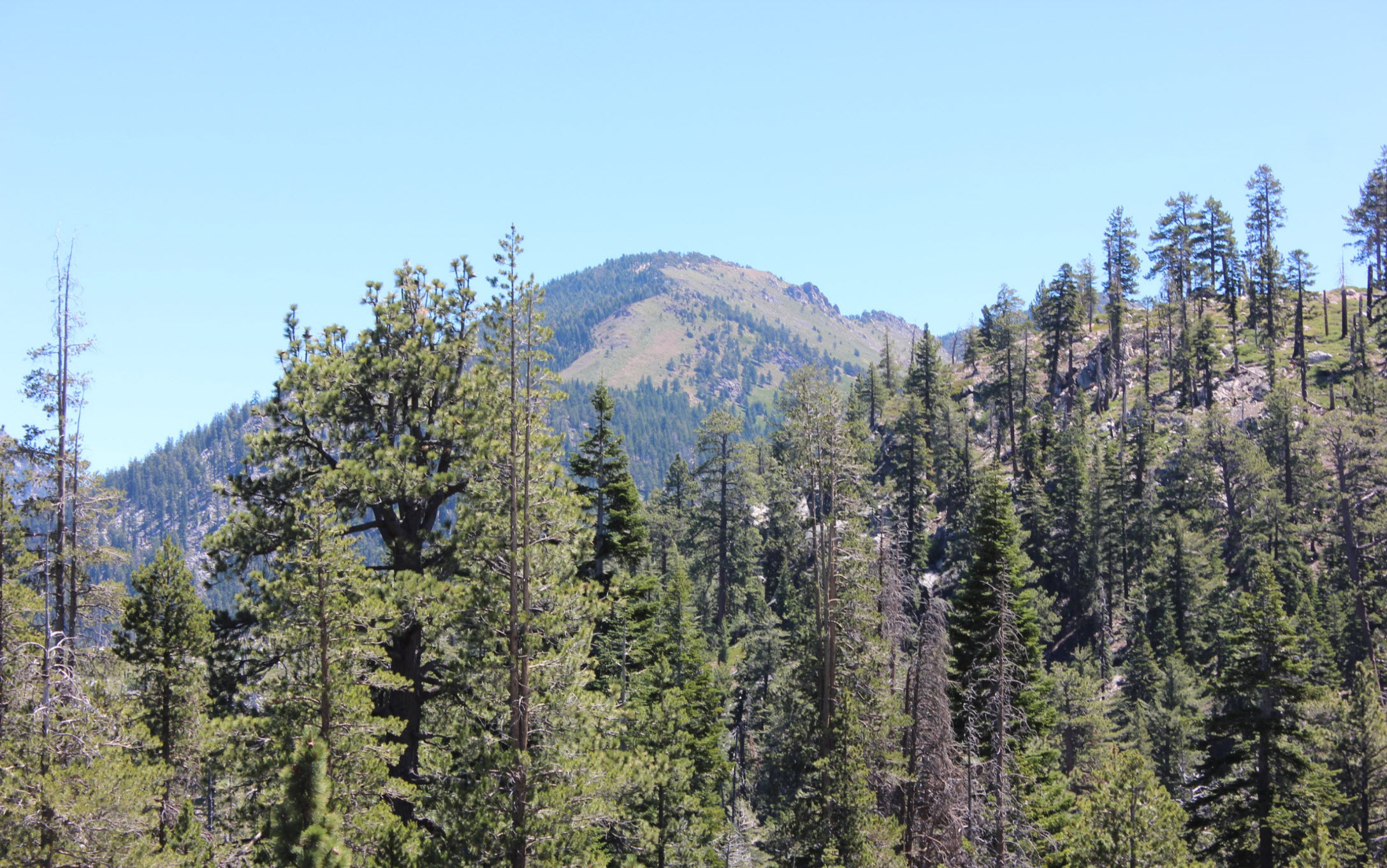 PCT Area