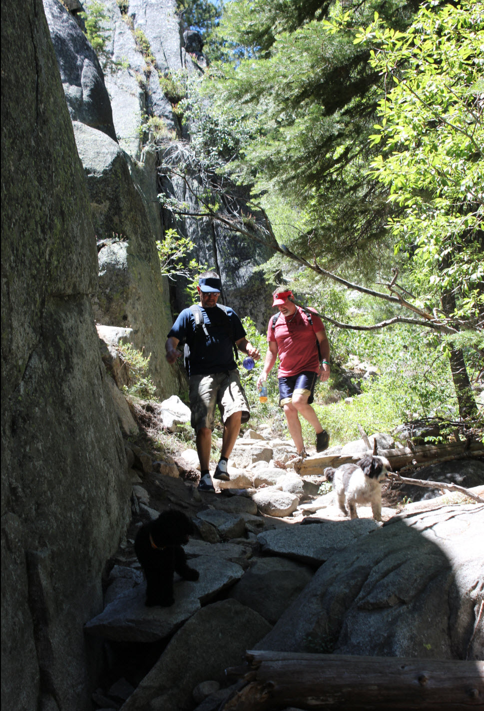 Navigating the trail