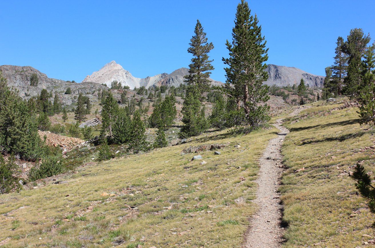 Wilderness trail