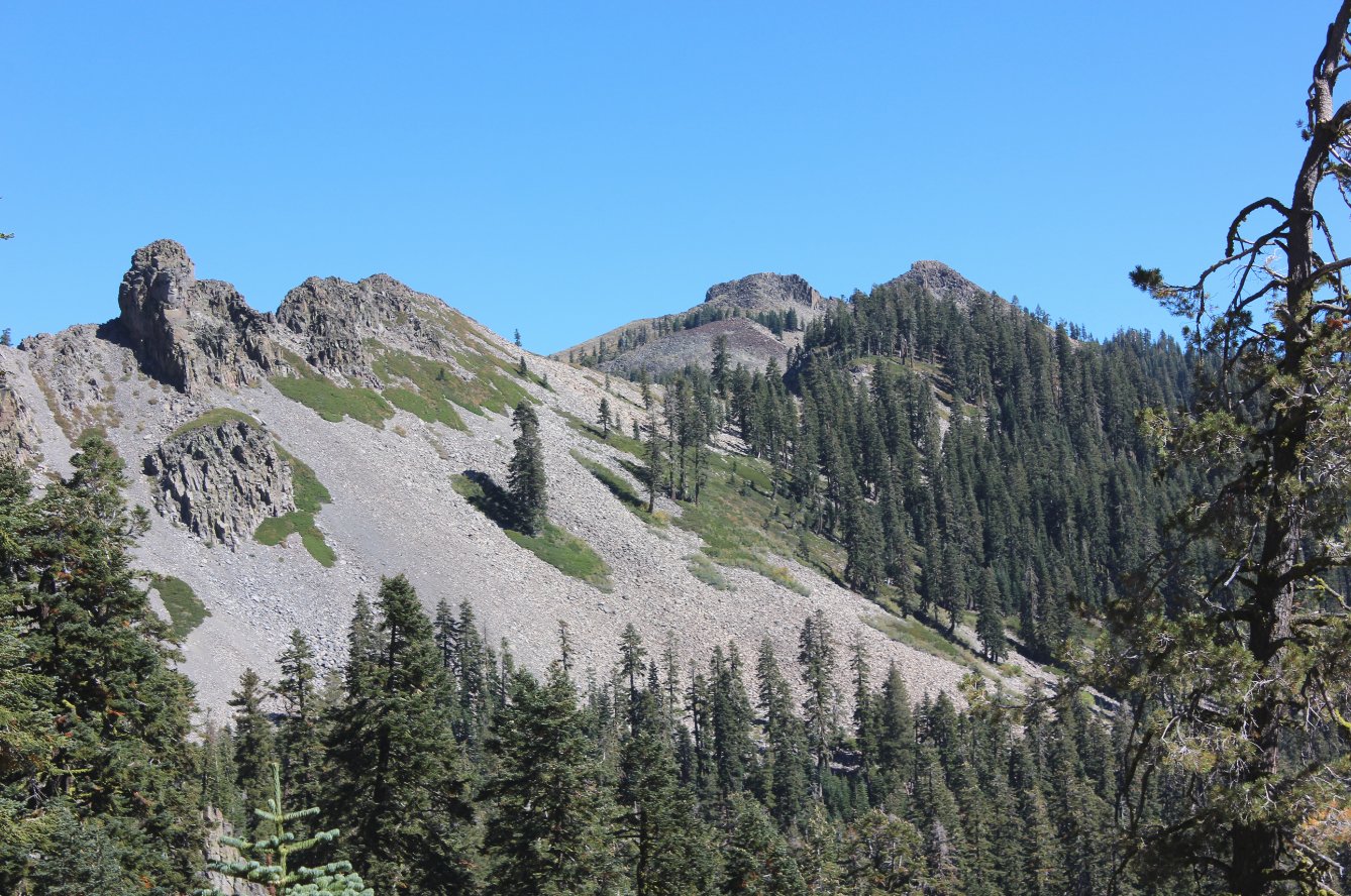 Closer to Twin Peaks