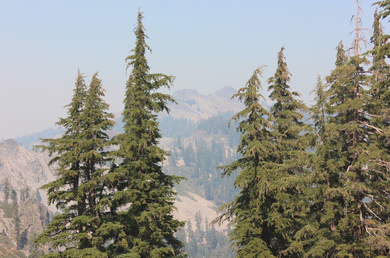 Twin Peaks smoke