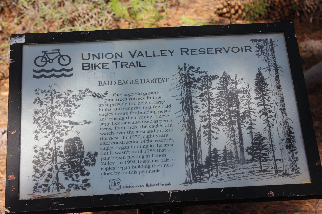 Info Sign