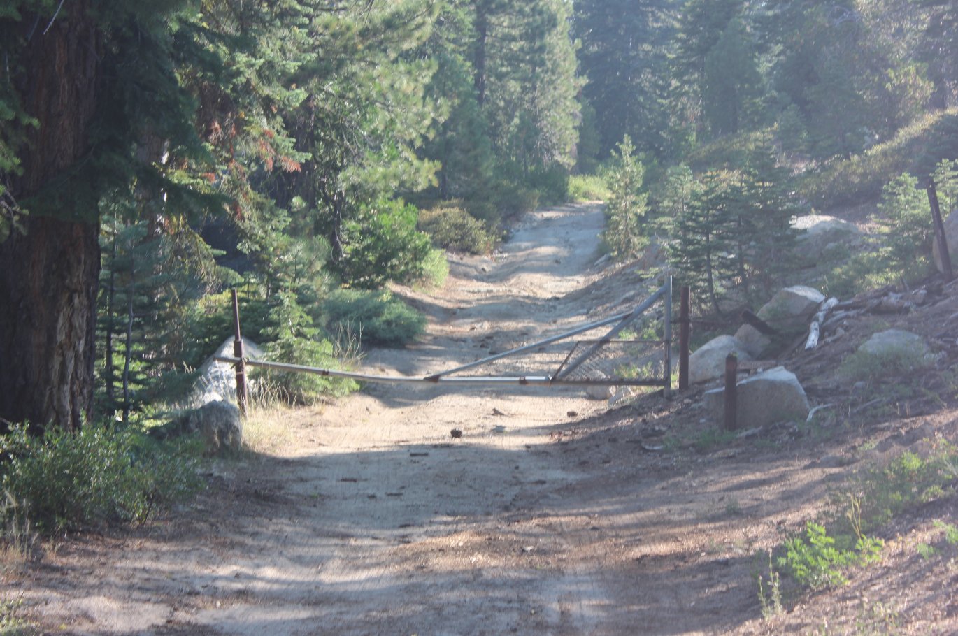 Early look along the trail