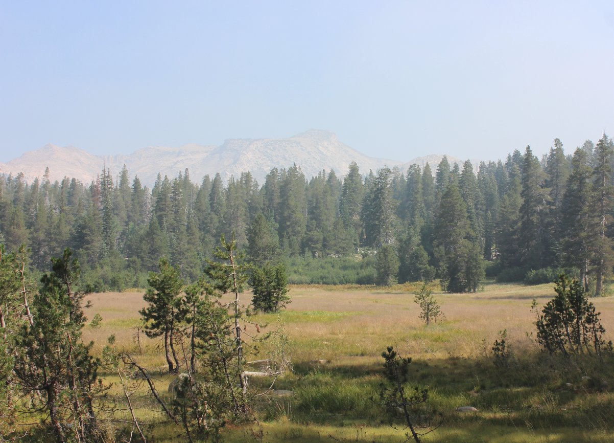 Approaching Forni Meadow