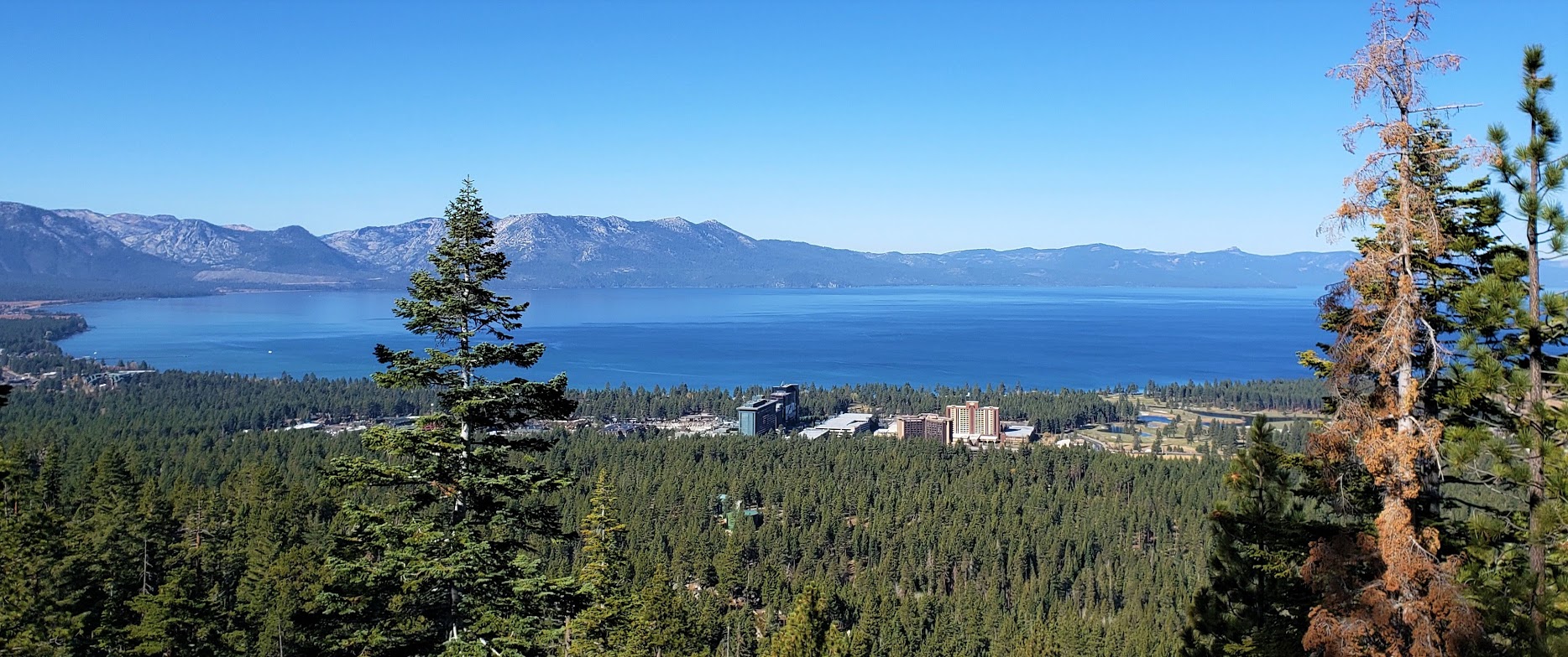 Higher view