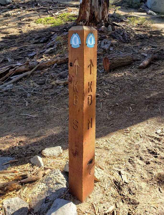 TRT marker