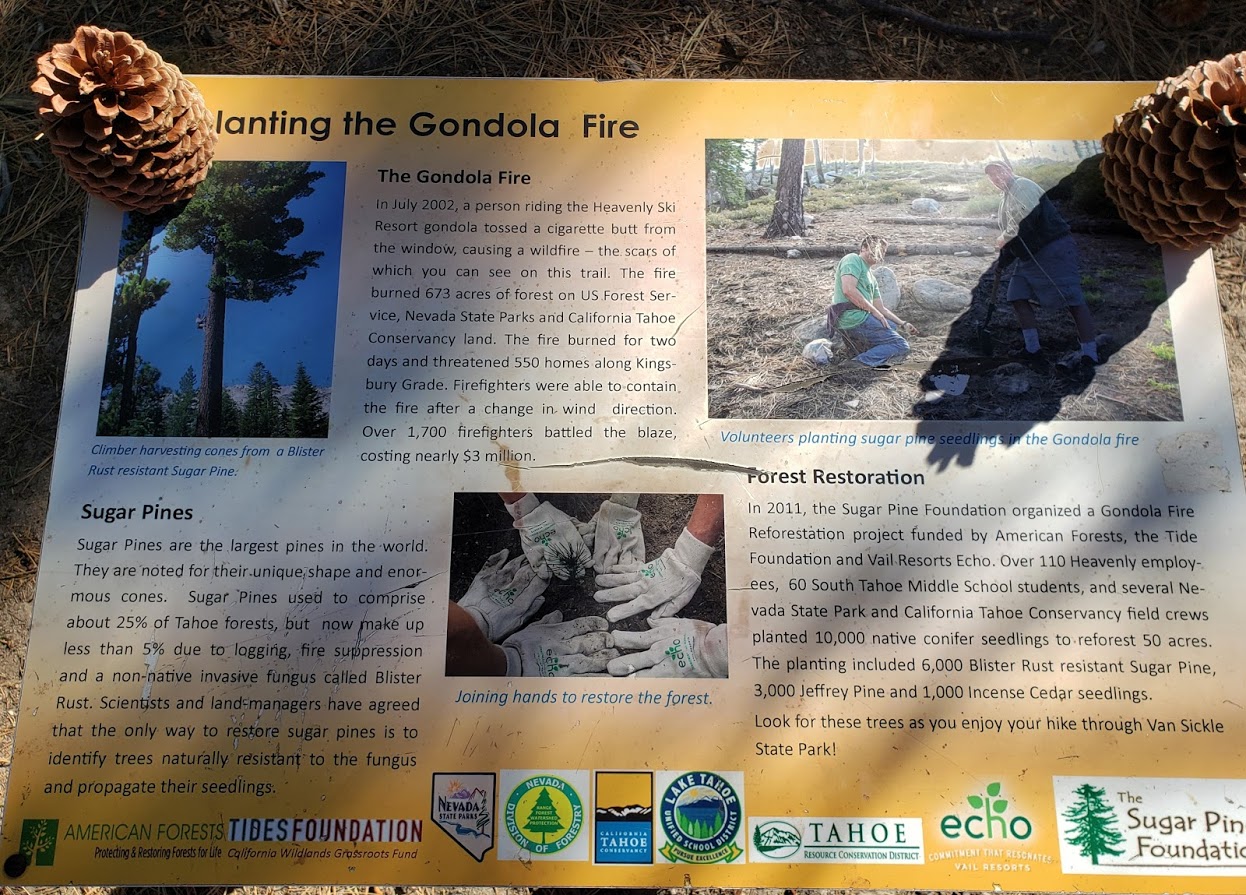 Gondola Fire info