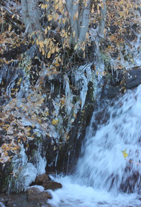 Frozen part