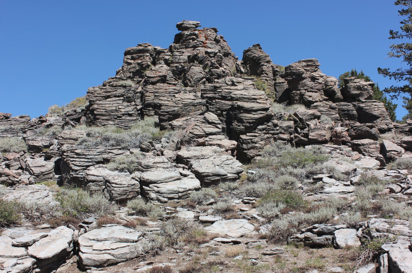 Interesting rocks
