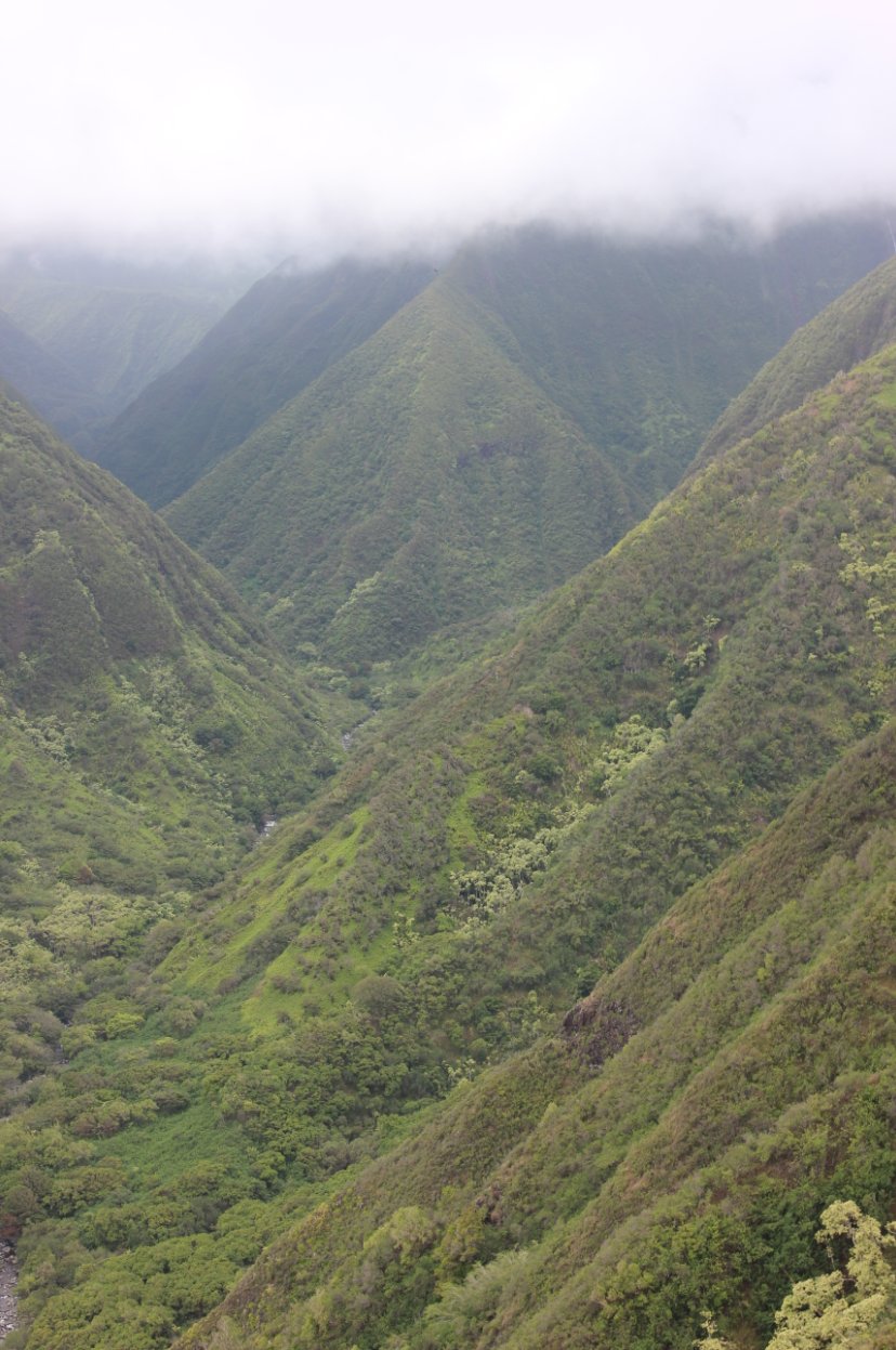 Looking up the valley