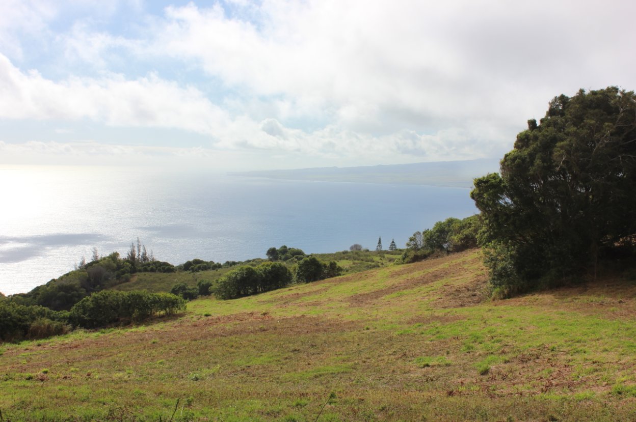 Overlooking the ocean