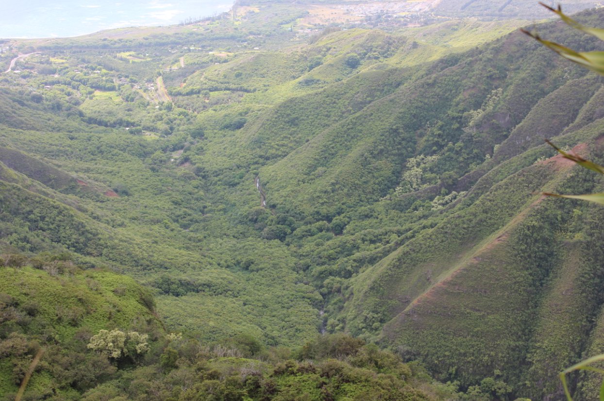 View of Waihee Valley on way back down