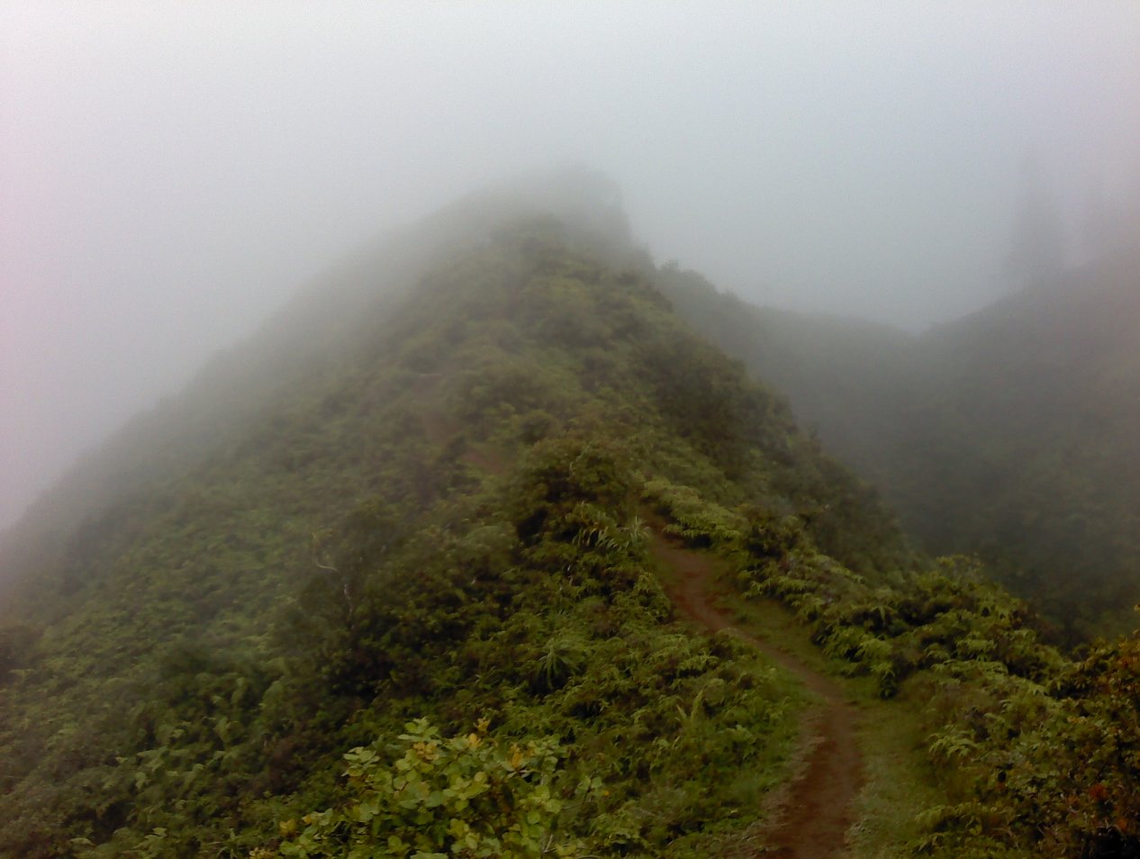 Trail to the top disappearing into the mist