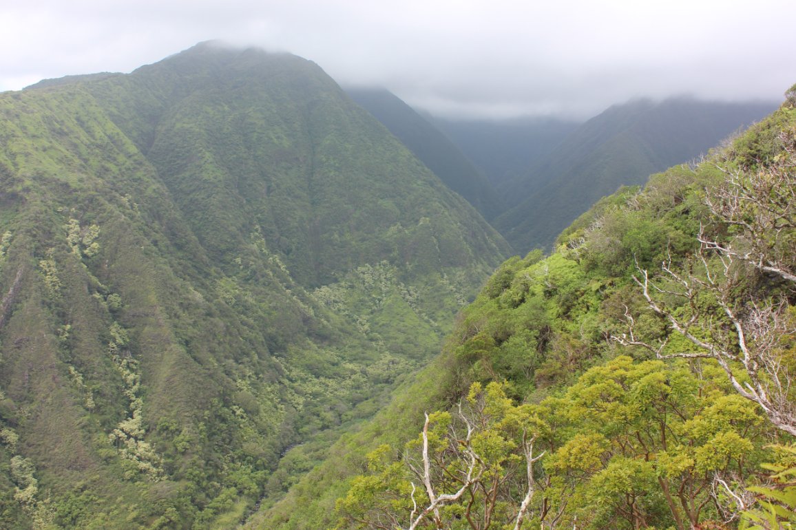 View into the valley