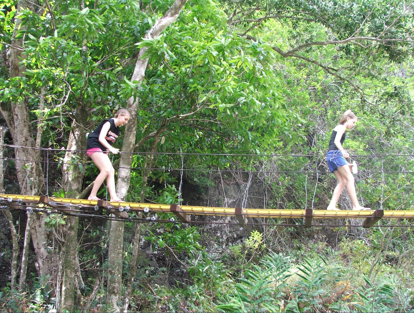 Sierra and Skye on the bridge