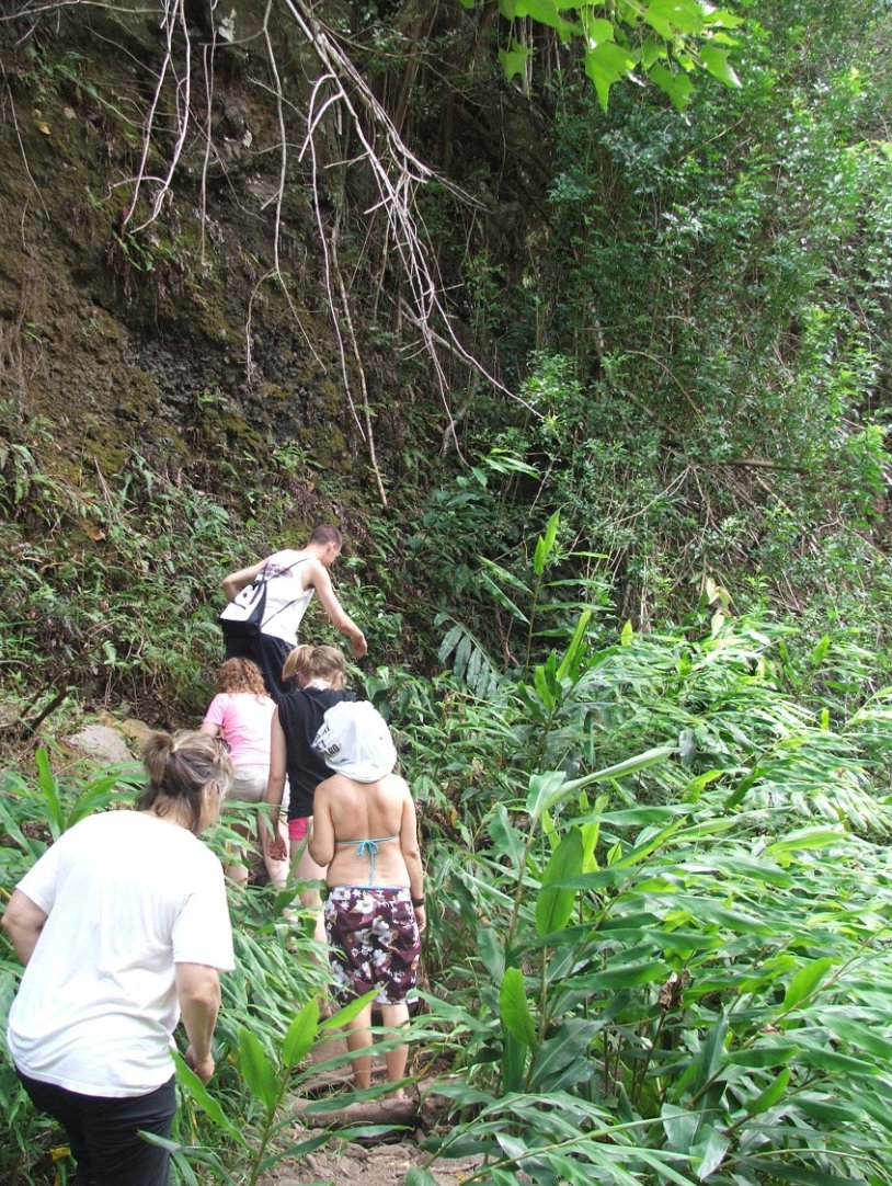 Continuing up the trail