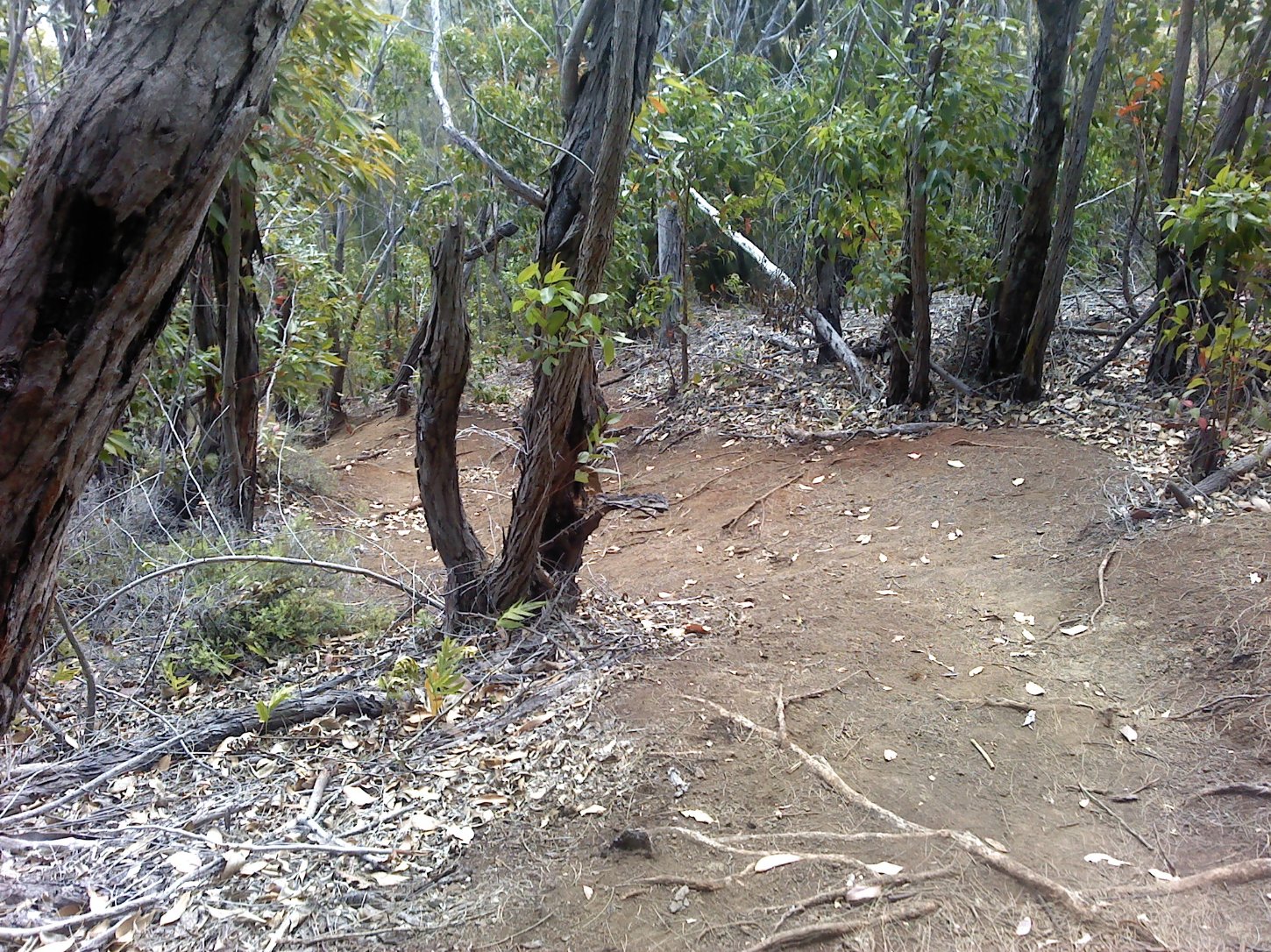Heading back down