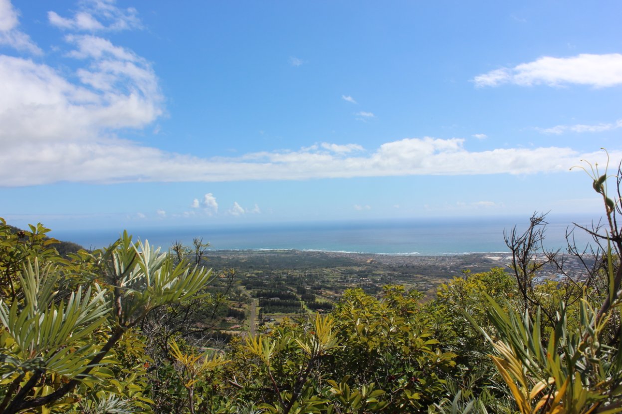 Kahului from the cross