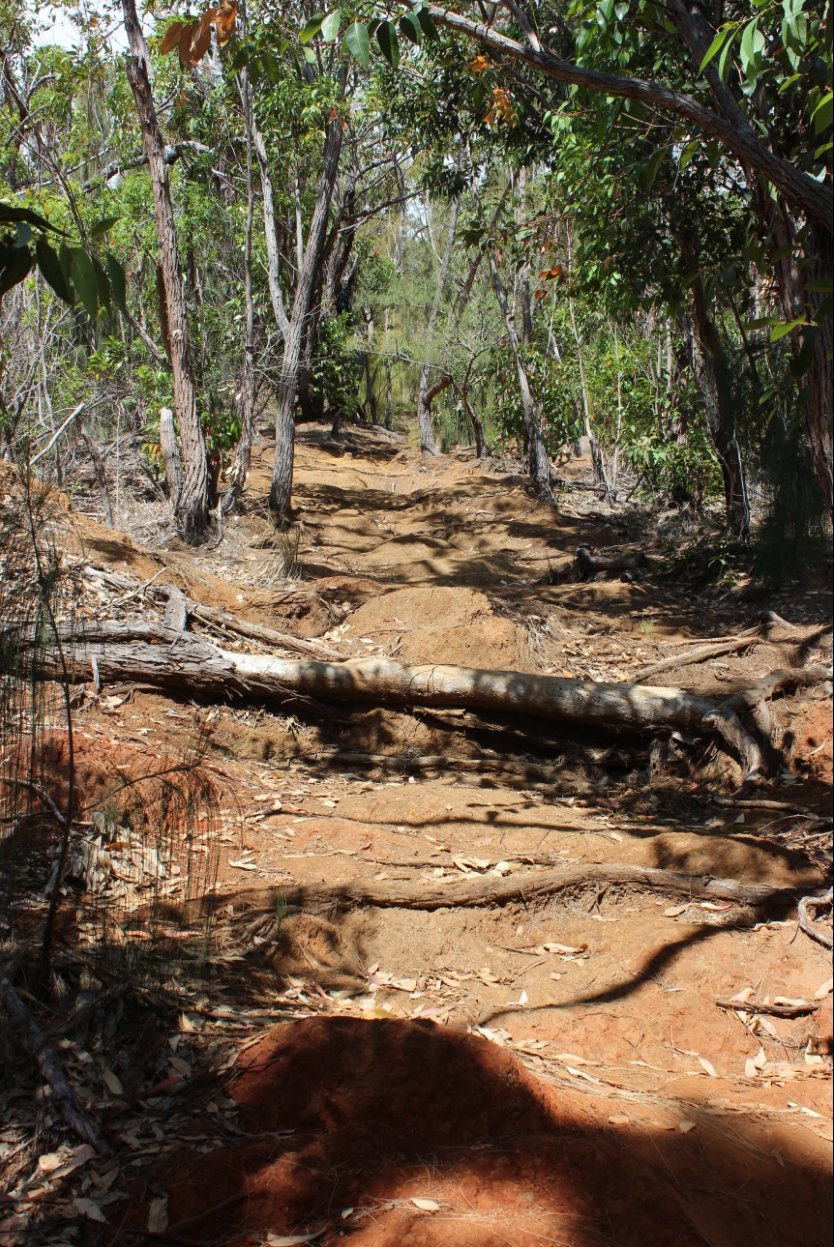 The up up up of the trail