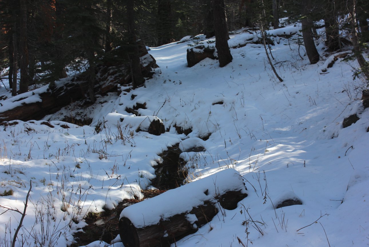 Backside of the trail