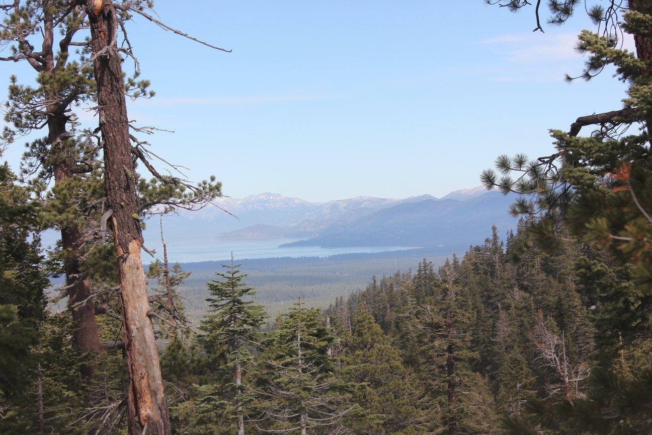 Lake Tahoe View