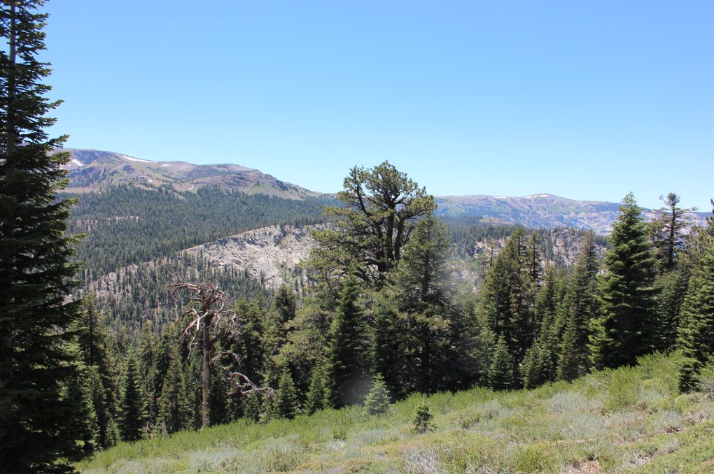 LRT from the hike