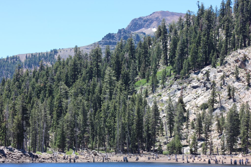 Looking toward Steven's Peak